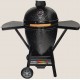 Black Olive Charcoal Grill