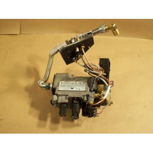 ASCOT BURNER ASSEMBLY COMPLETE