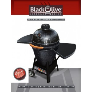 Enviro Black Olive Charcoal Grill Brochure Request